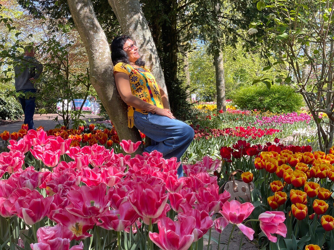 Poldertuin景点图片