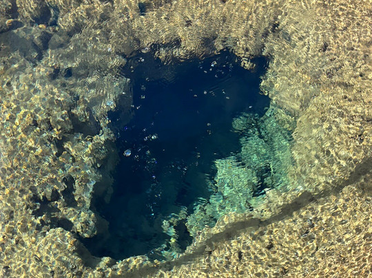 Talaroo Hot Springs-Mount Surprise必去景点