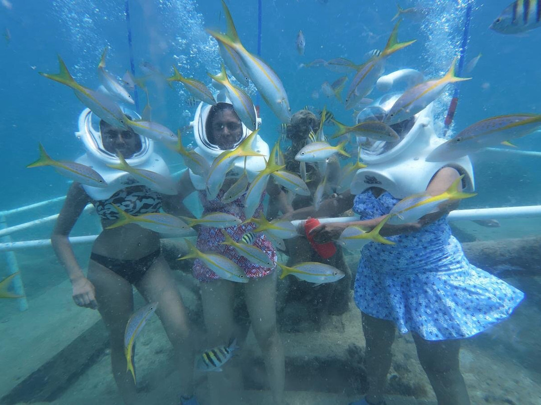 Sea Trek St. Maarten景点图片