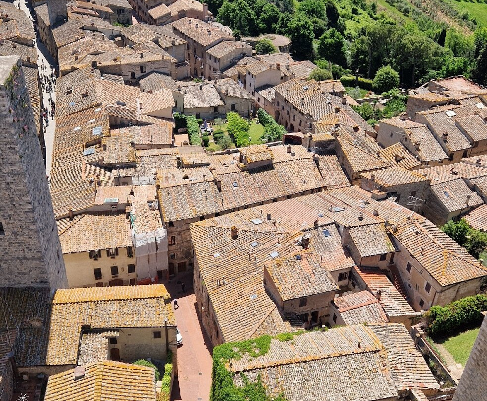 Torre Grossa (o Torre del palazzo del Podesta)景点图片