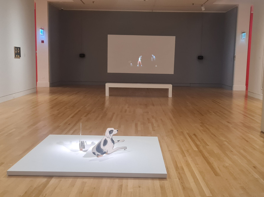 弗赖伊艺术博物馆-西雅图必去景点