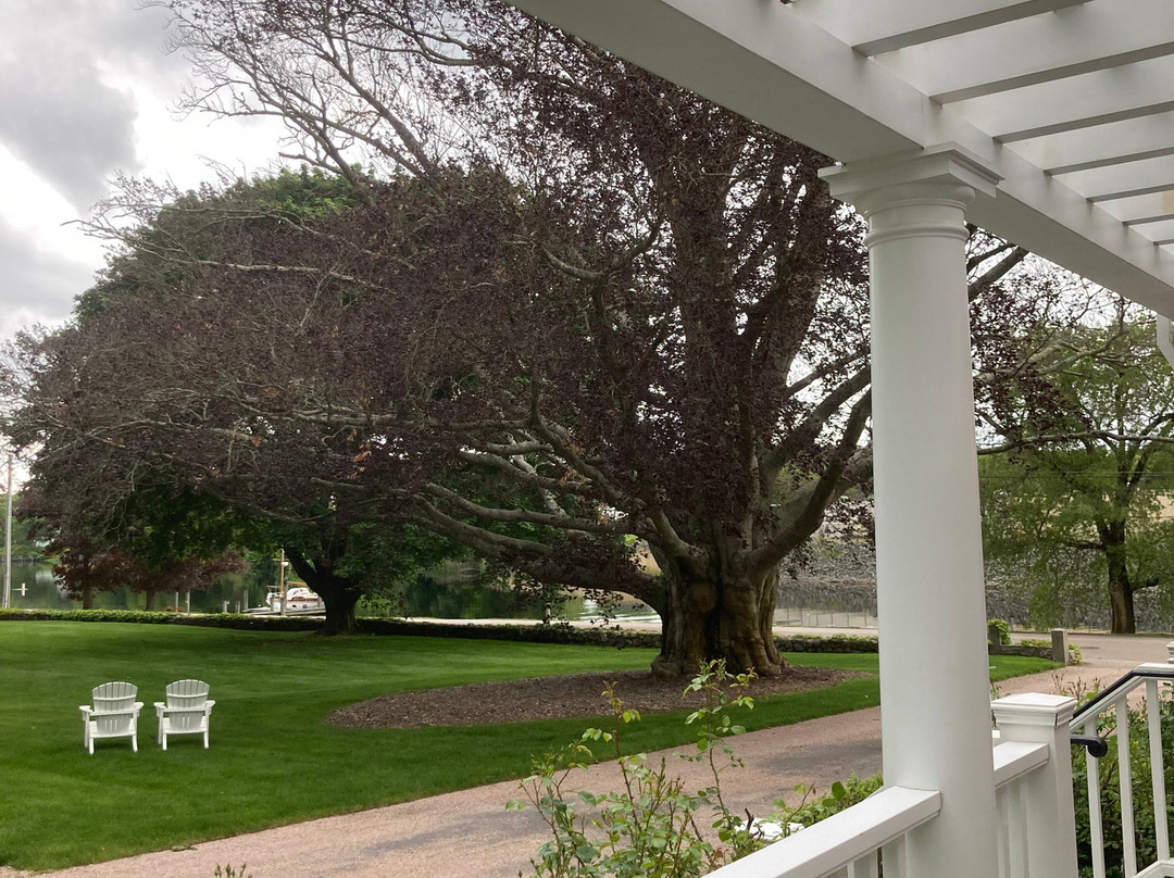 Margin Street Inn主图