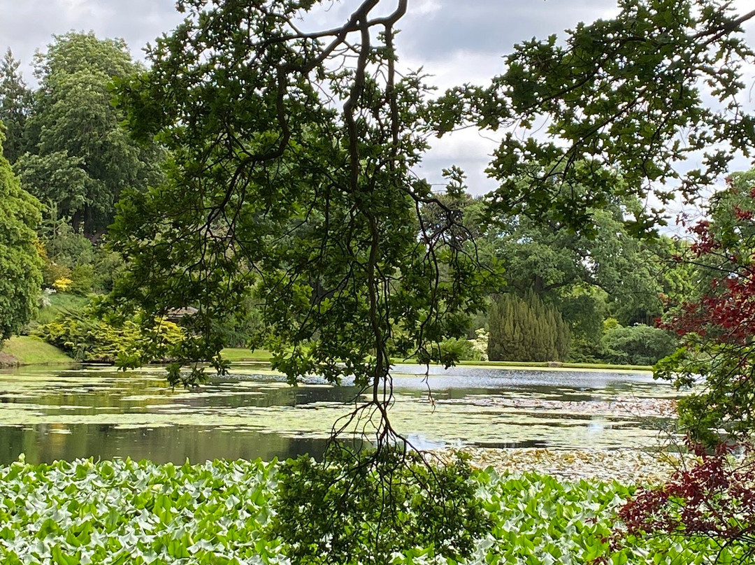 Hodnet Hall Gardens景点图片