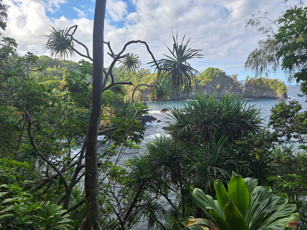 Pepeekeo Scenic Drive-希洛必去景点