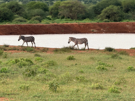 Trek Afrika Adventures-蒙巴萨必去景点