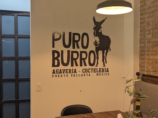 Puro Burro-瓦拉塔港必去景点