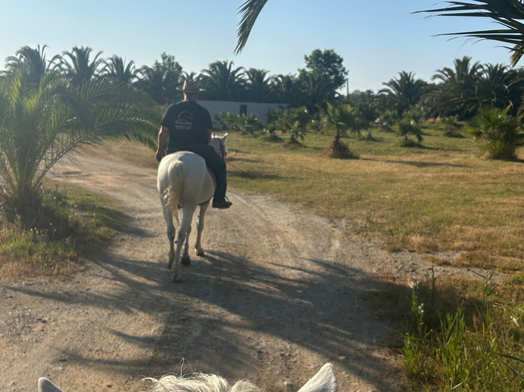 Horseriding Georgoupolis/ Grillo's Stable景点图片
