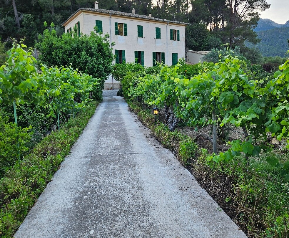 Agroturisme Finca Sa Maniga主图