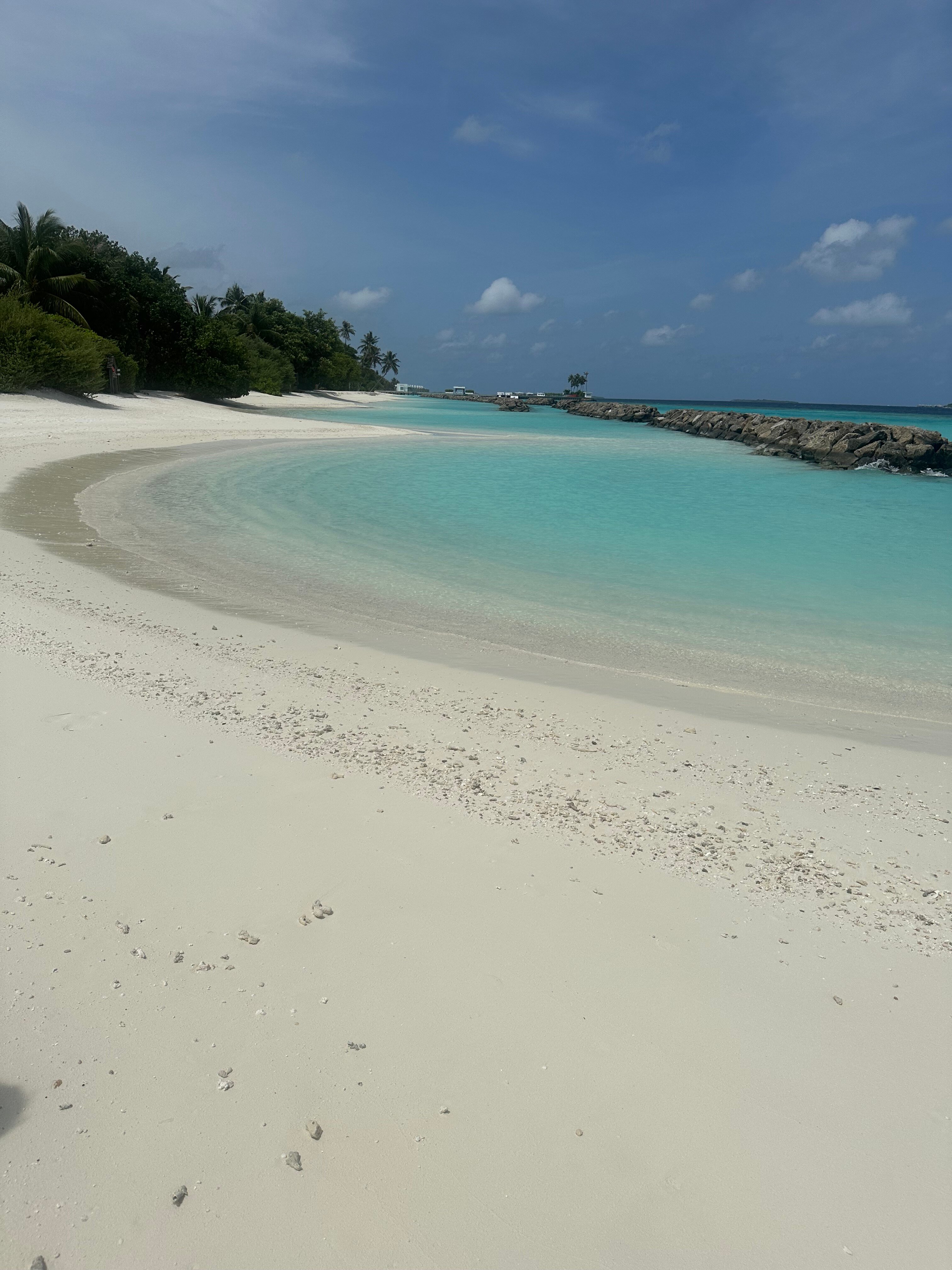 Dhigali Maldives-泳池