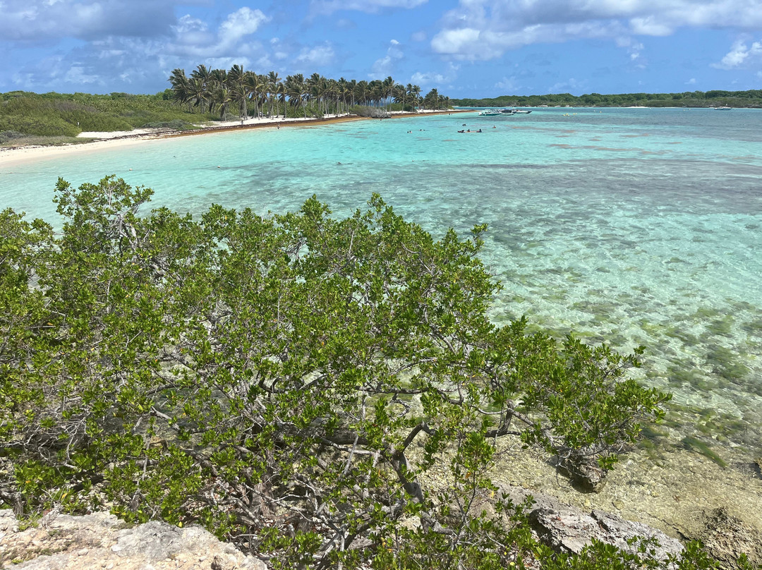 Sademar-Saint Francois必去景点