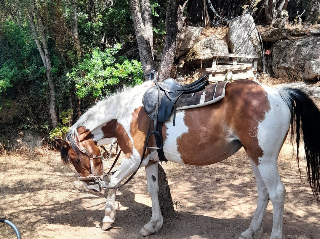 Centro Equestre La Prugnola-Arzachena必去景点
