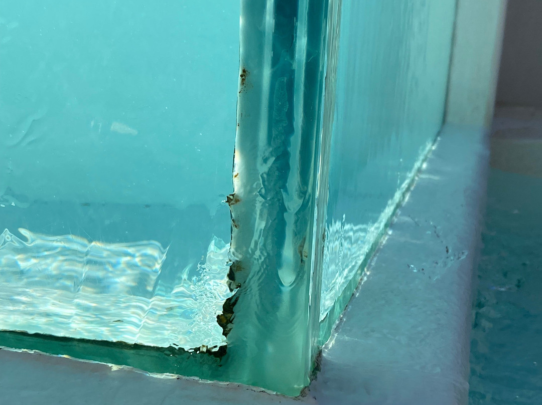 Micra Anglia Boutique Hotel主图