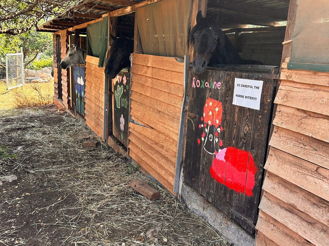 Amarillis Stable-Mochos必去景点