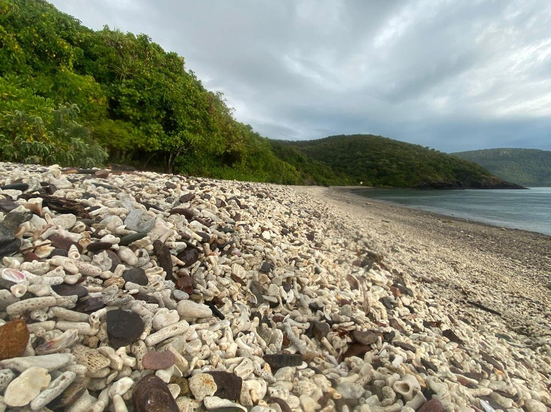 Coral Beach and the Beak, Conway National Park-舒特港必去景点