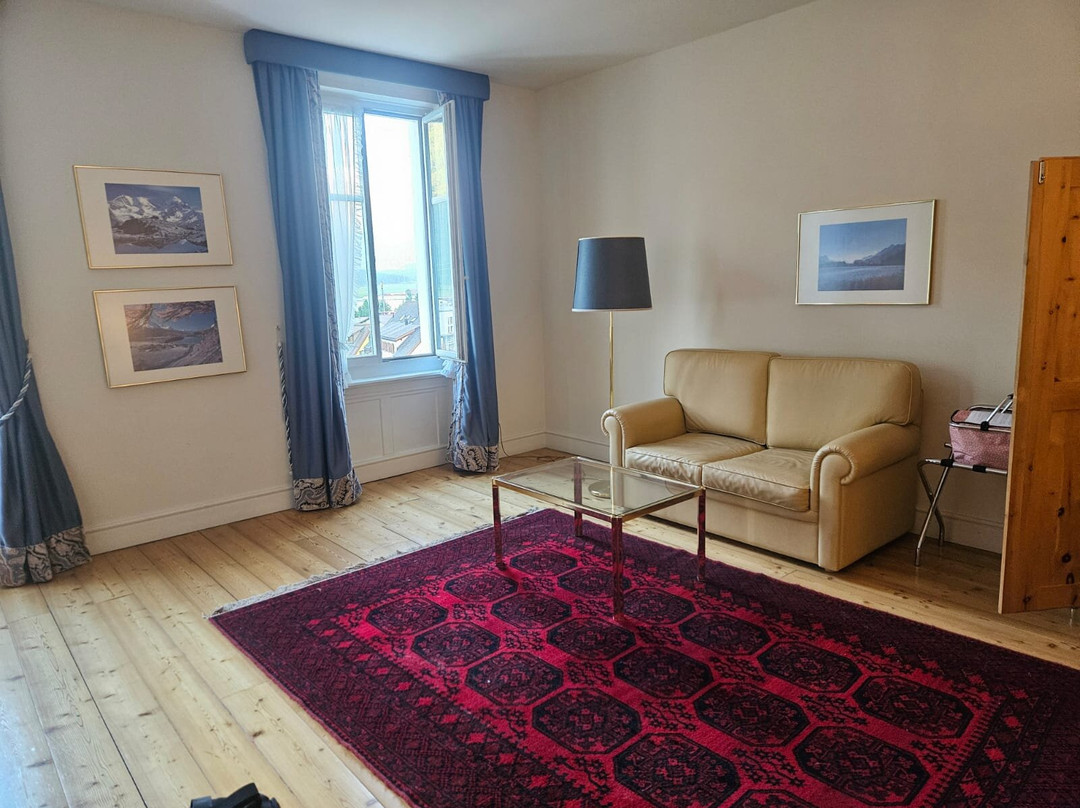 Hotel Bernina 1865主图
