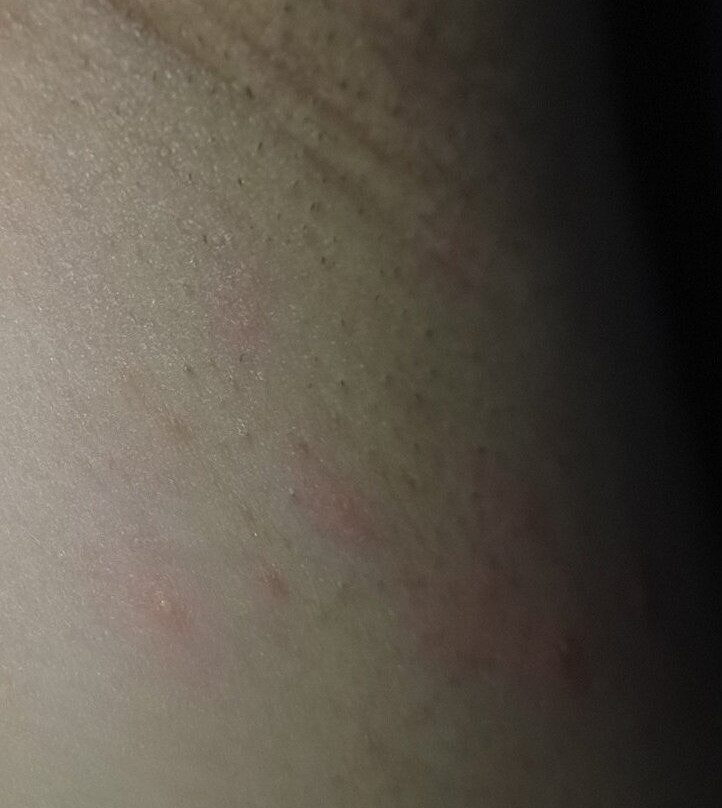 Olantis Huntebad景点图片
