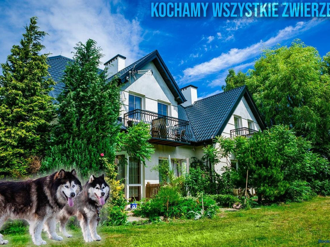Pszczolka