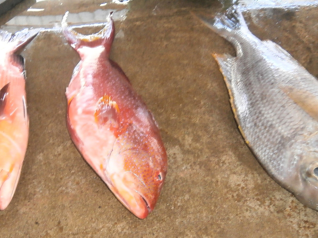 维多利亚市场-维多利亚必去景点