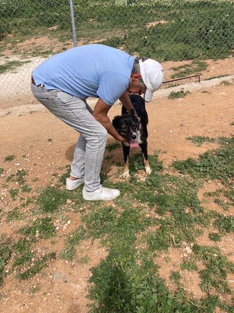 Triple A Marbella Animal Shelter-马贝拉必去景点