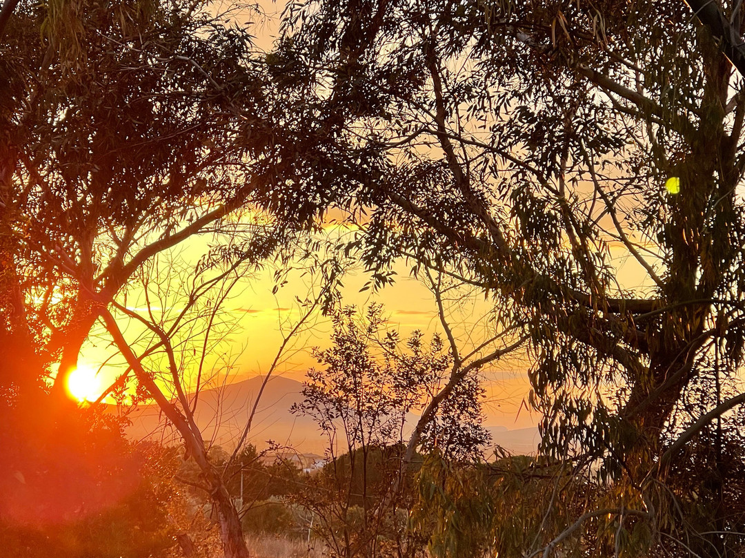 Rifugio Domo Mea-Olmedo必去景点