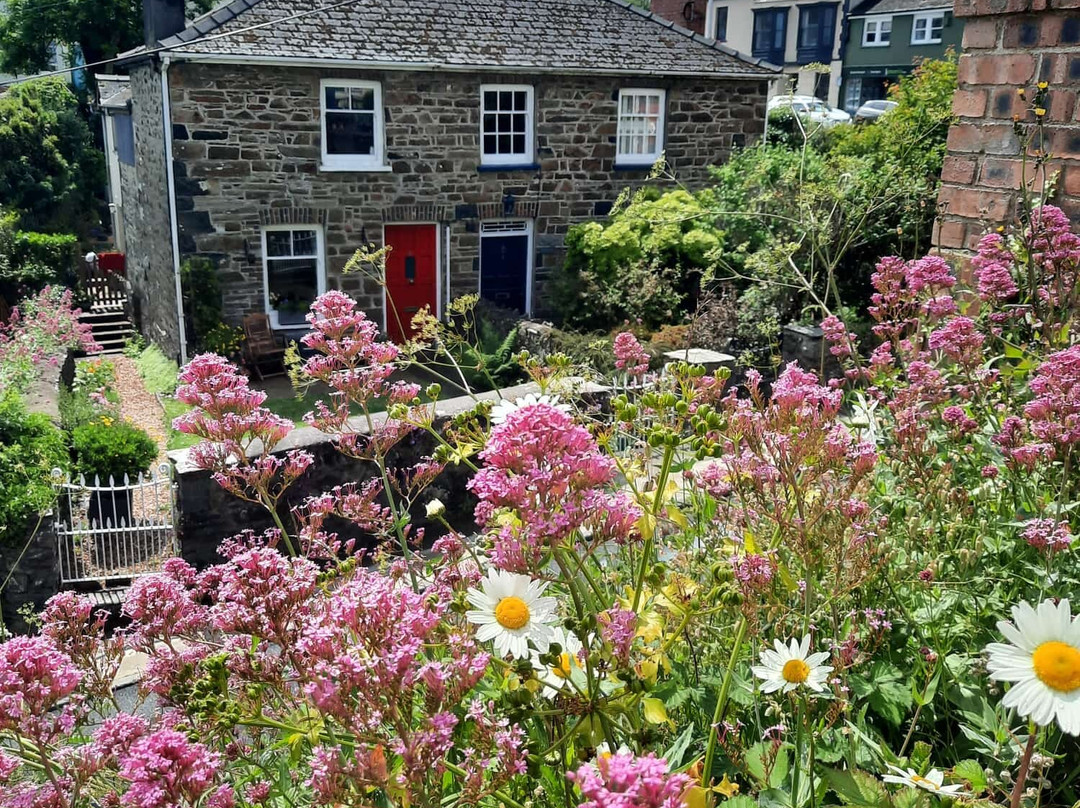 Fishguard Lower Town Harbour-Fishguard必去景点