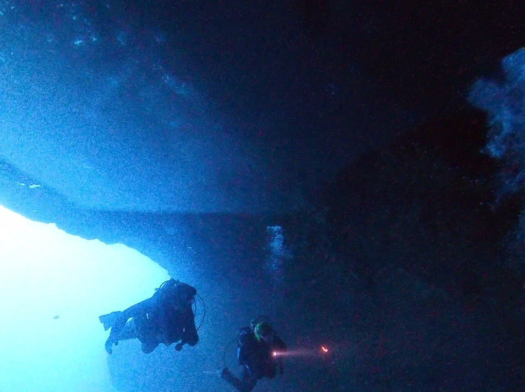 Bubbles Dive Centre-Marsalforn必去景点