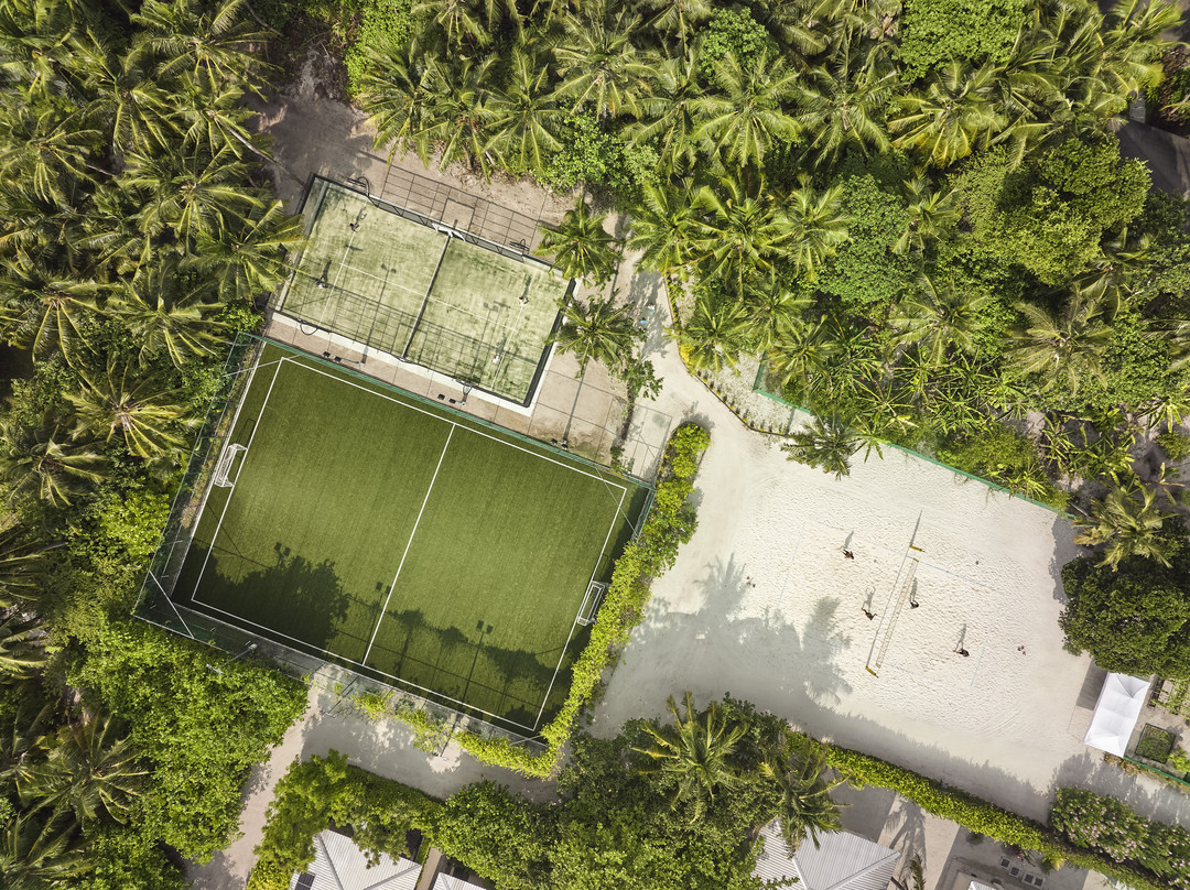 Robinson Noonu主图