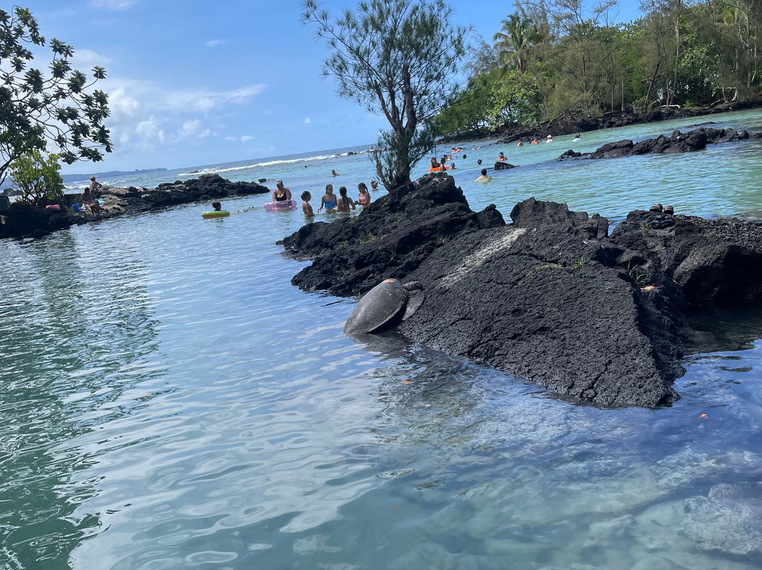 Carlsmith Beach Park-希洛必去景点