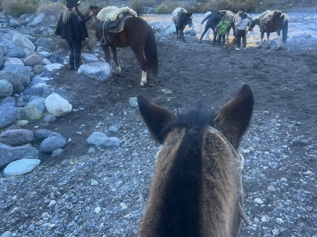 Cabalgatas Your Tour Chile-圣地亚哥必去景点