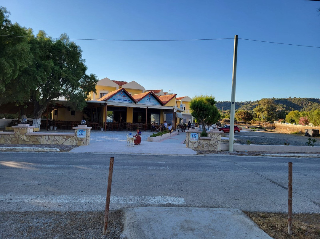 Sappho & Neraida Studios主图