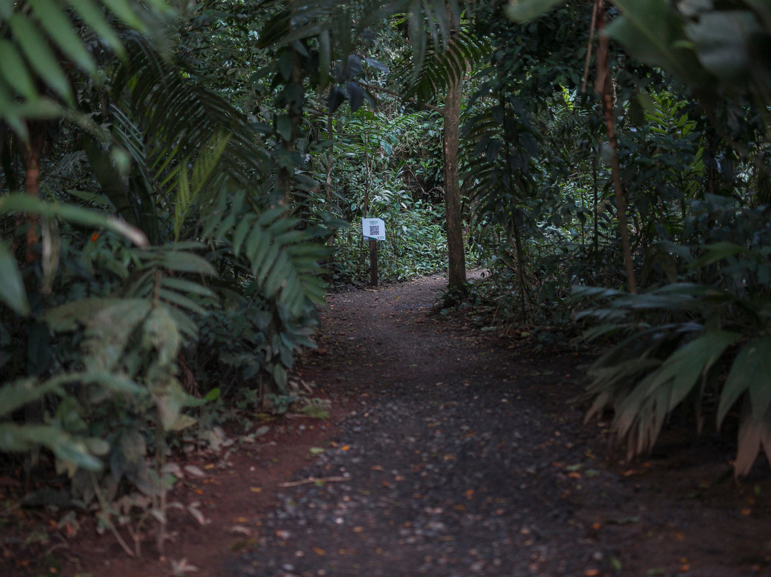 Monkey Park La Fortuna-La Fortuna必去景点