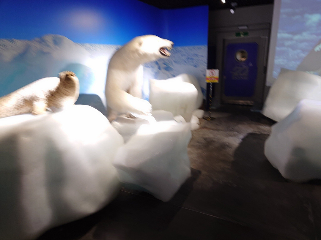 Okhotsk Sea Ice Museum of Hokkaido GIZA-纹别市必去景点