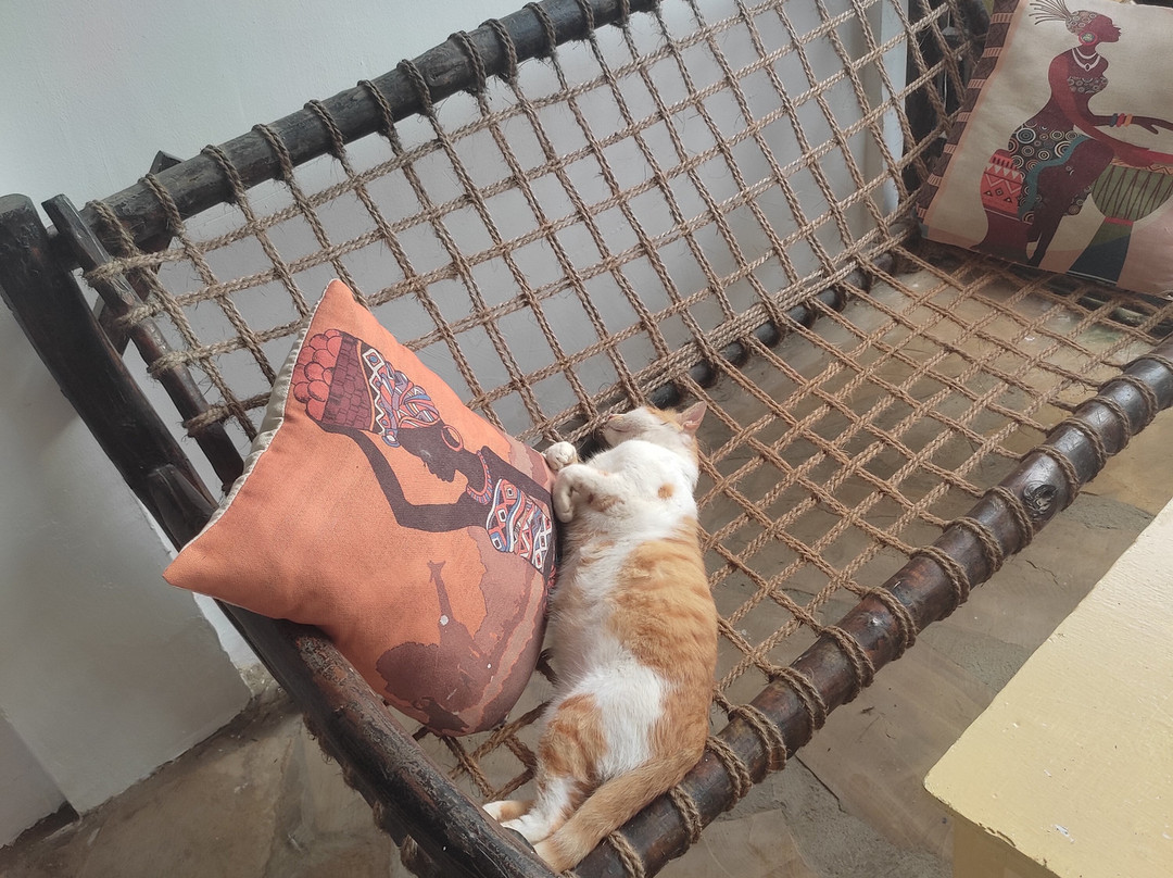 Max Hotel Nungwi