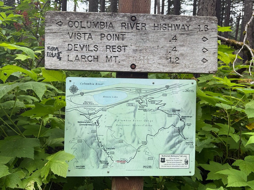 Wahkeena Falls-劳特代尔必去景点