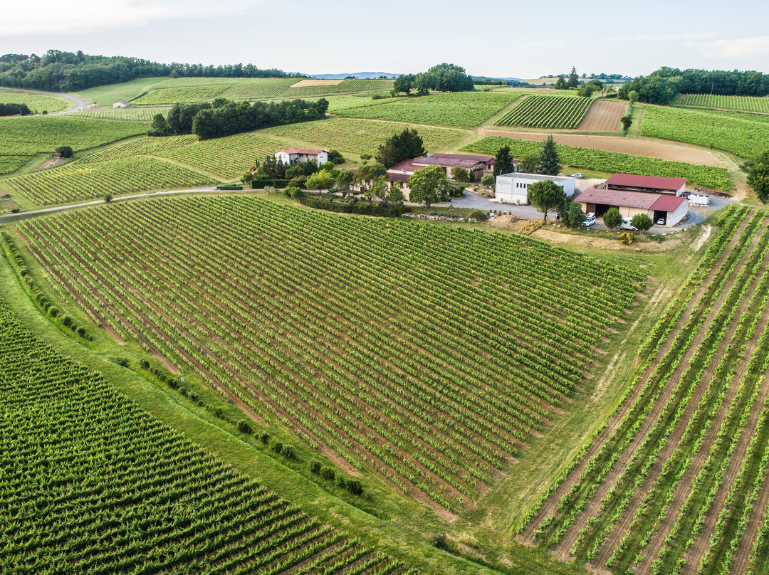 Domaine Vayssette-Gaillac必去景点