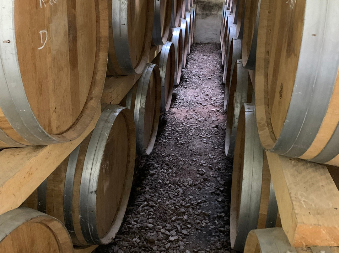 Cognac Raby-Segonzac必去景点