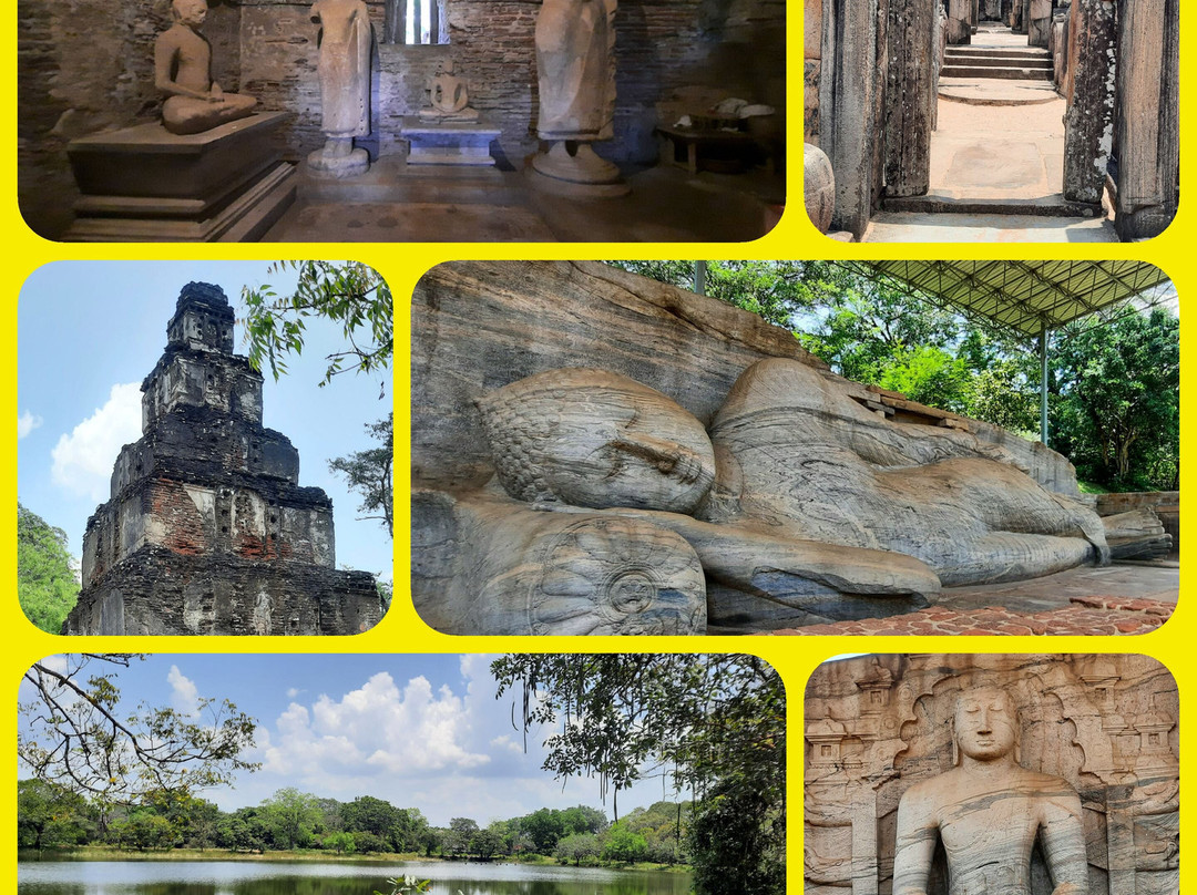 Tiara Elephant Lodge