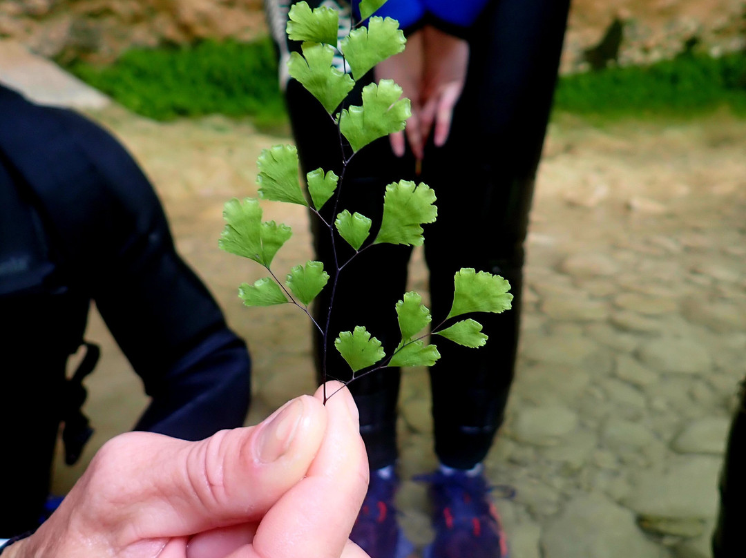 Le Sens de l'Eau-Rodellar必去景点