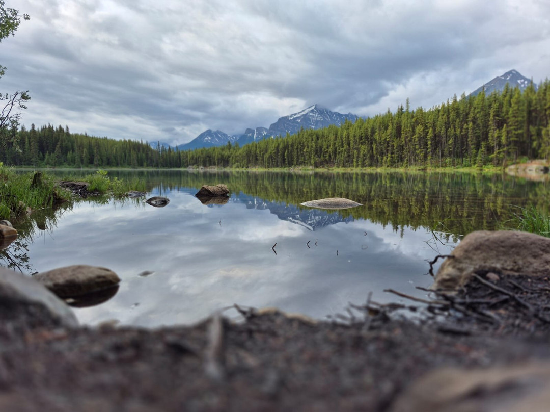 Timberwolf Tours-埃德蒙顿必去景点