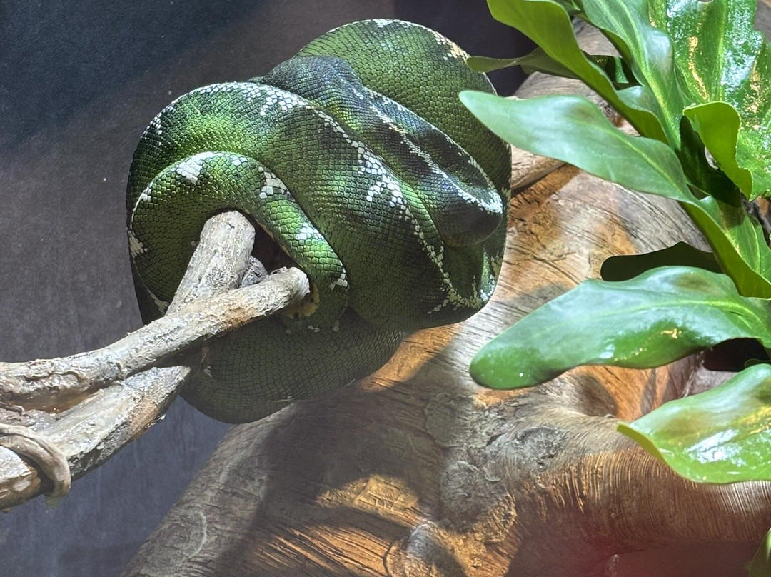 北卡罗来纳自然科学博物馆-罗利必去景点