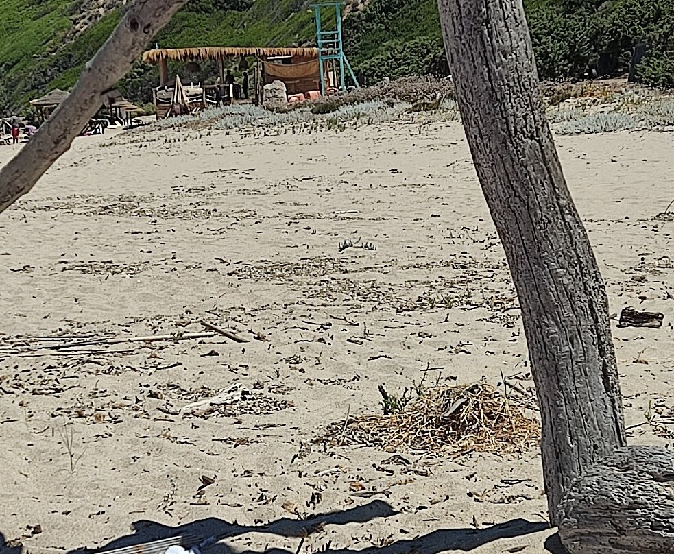 Spiaggia Li Feruli-Badesi必去景点