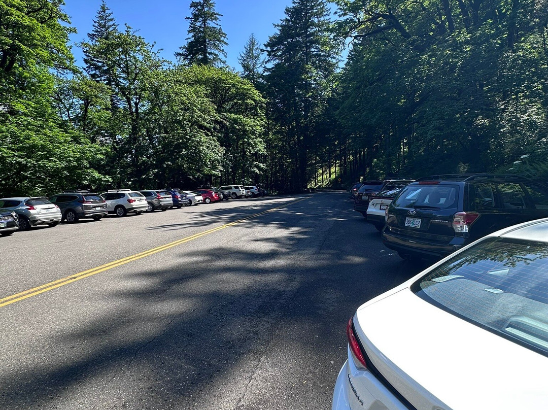 Wahkeena Falls-劳特代尔必去景点