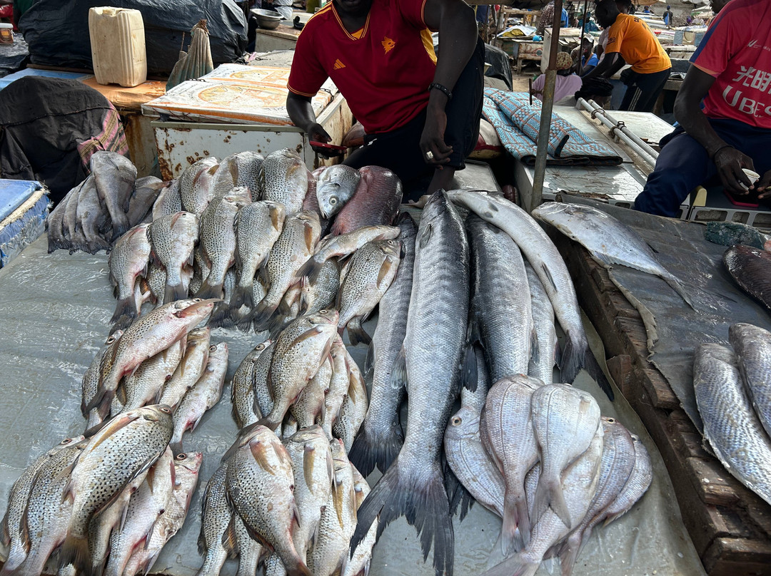 Dakar/Mbour/Sine Saloum, Senegal-莫布瓦必去景点