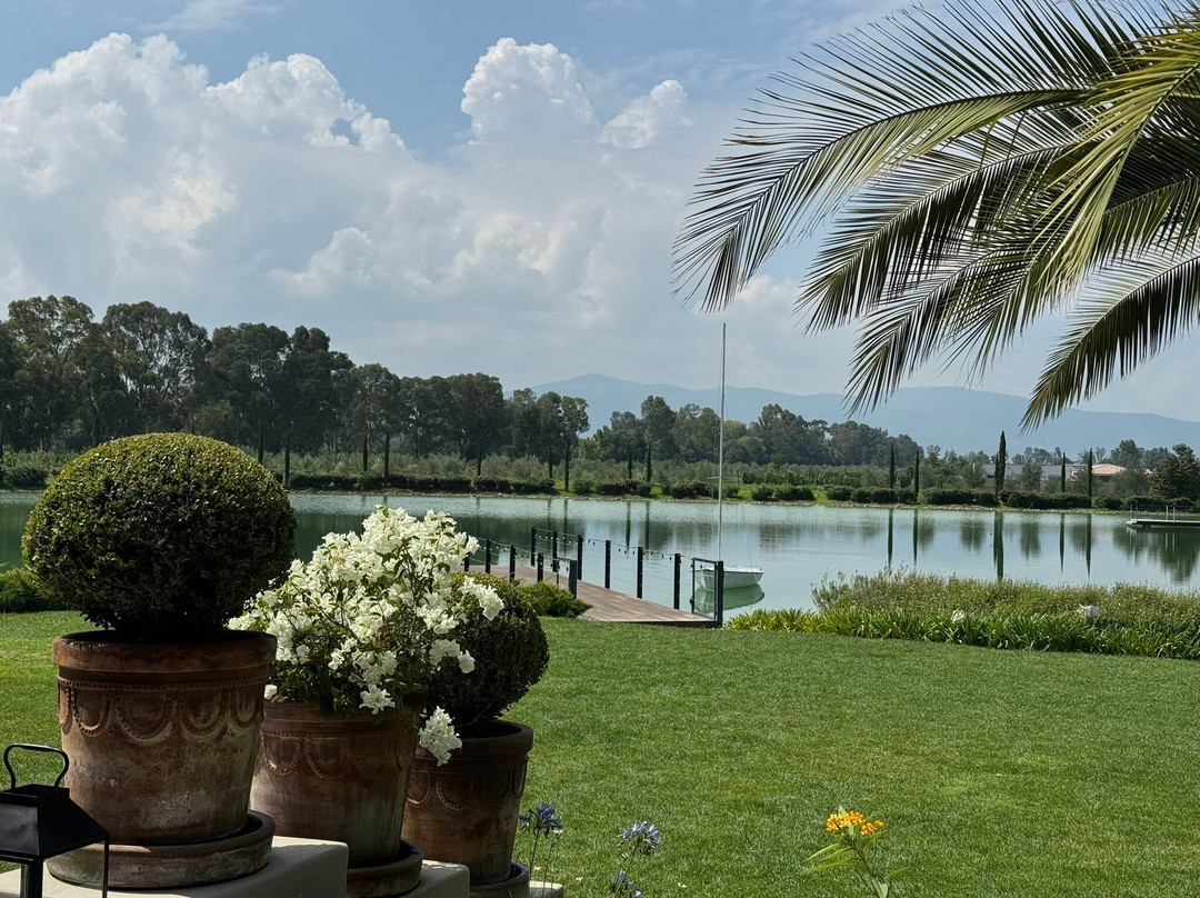 Viñedos Santa Catalina主图