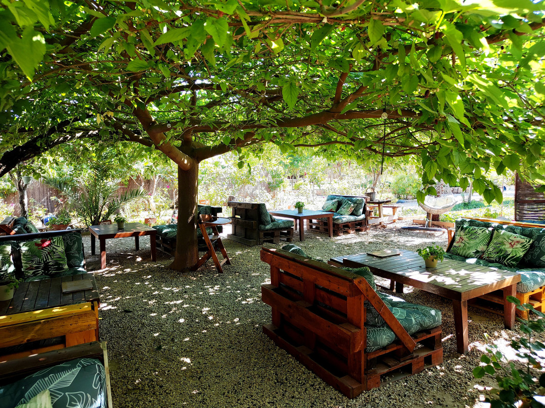 Finca Ecológica Can Musón-圣欧拉利娅尔德里奥必去景点