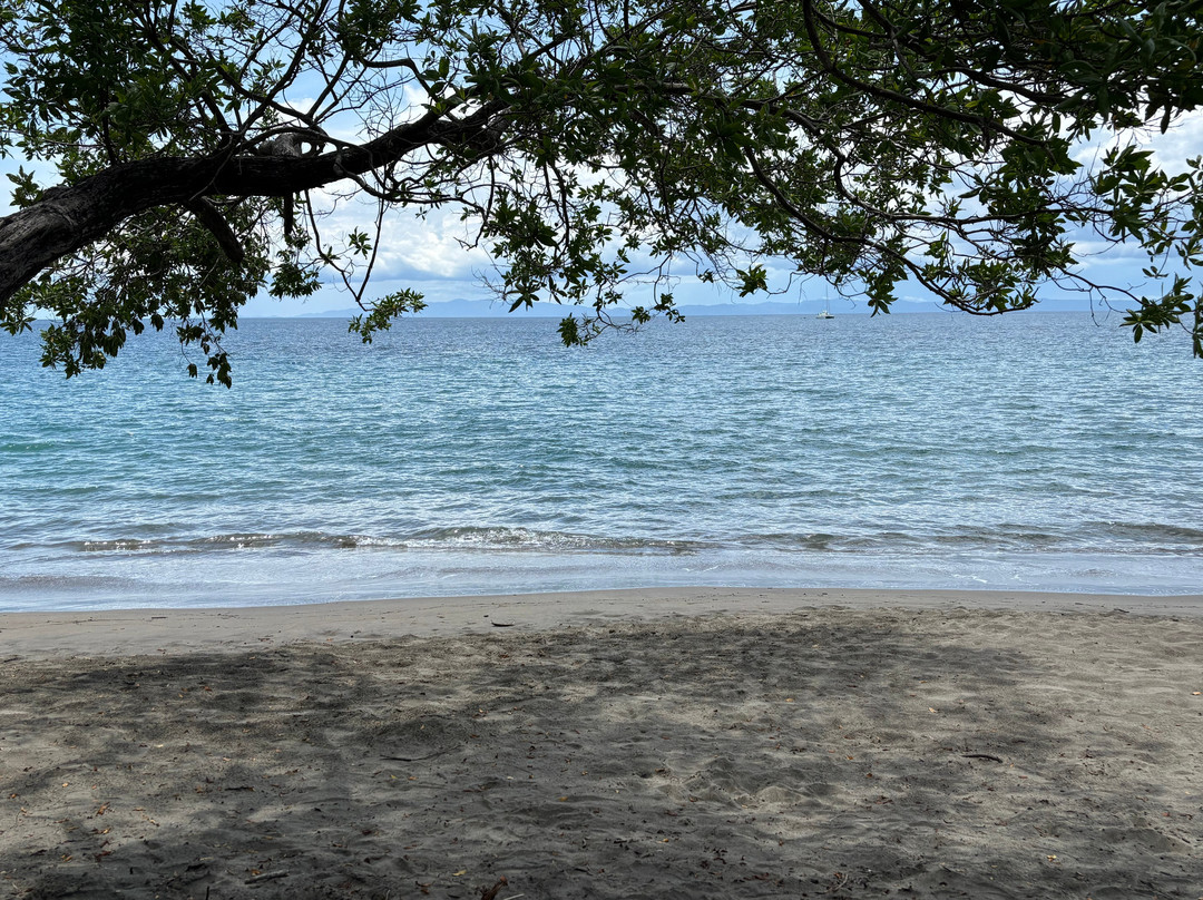 Costa Rica Wet and Wild-波特雷罗必去景点