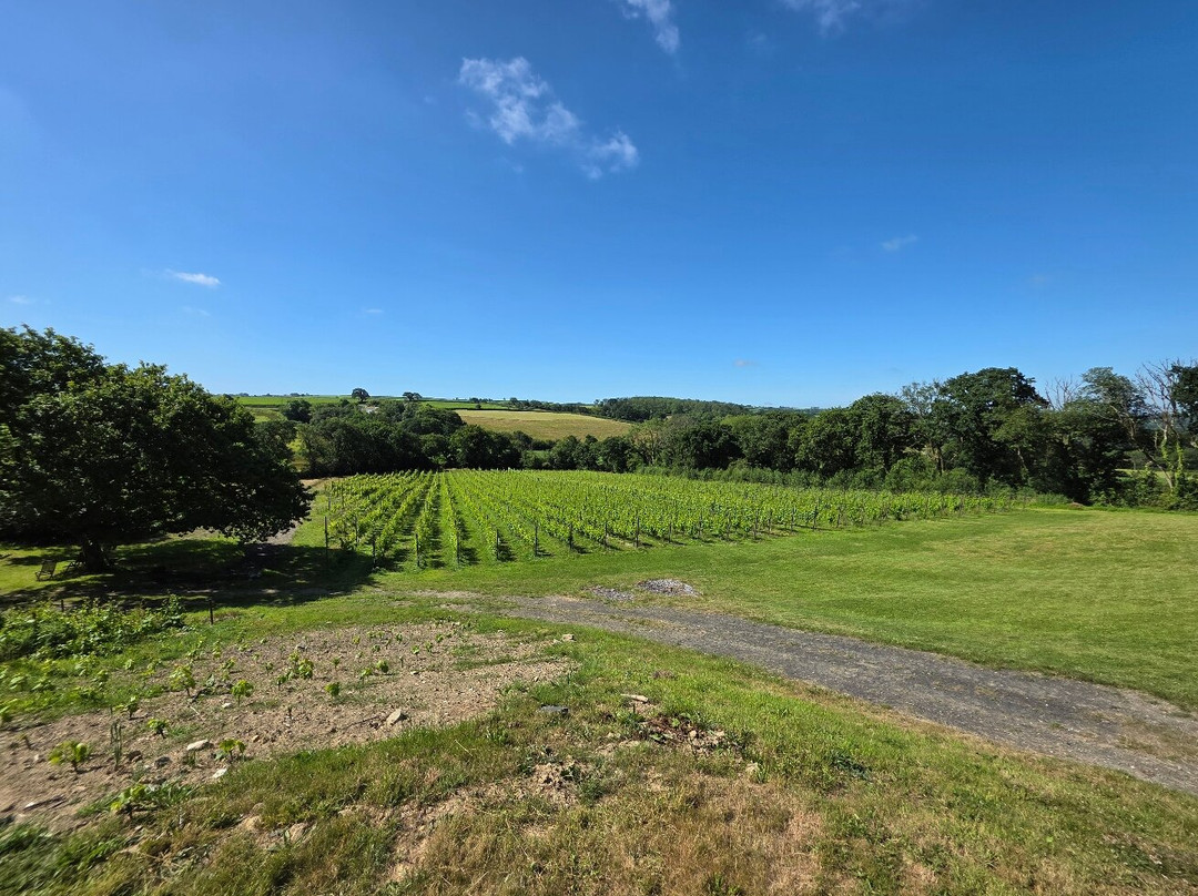 Velfrey Vineyard-Lampeter Velfrey必去景点