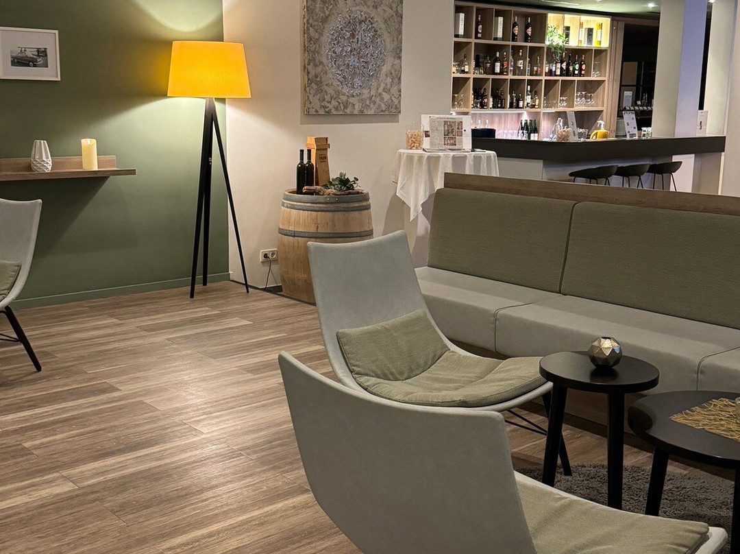 内卡苏尔姆内斯托尔酒店主图