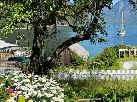 The Fjord Farm In Flåm-弗洛姆必去景点