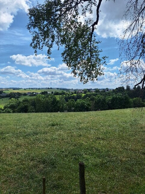 Bastogne War Museum-巴斯东必去景点